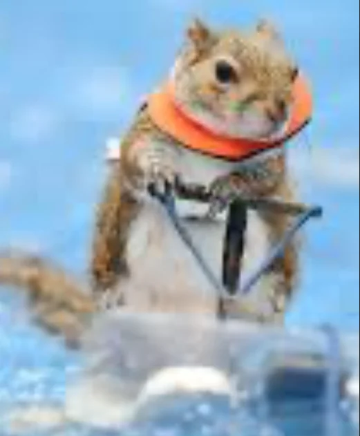 Calvin.S's Avatar